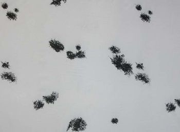 картинка Ткань 190Т taffeta принт клякса от магазина Ютекс