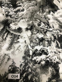 картинка Плащевая мембрана Алова комфорт фотопринт 1311 от магазина Ютекс