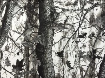 картинка Плащевая Гранд-200 ВО ФТП от магазина Ютекс