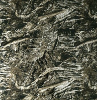 картинка Ткань Алова 150 см принт PR 380 от магазина Ютекс